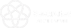 Seekratesfive AIs consensus