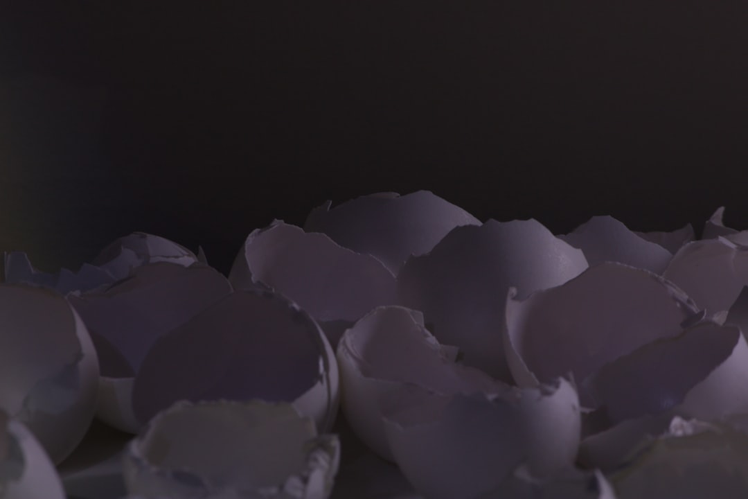 chef skills 2030 - AI consensus analysis by Seekrates